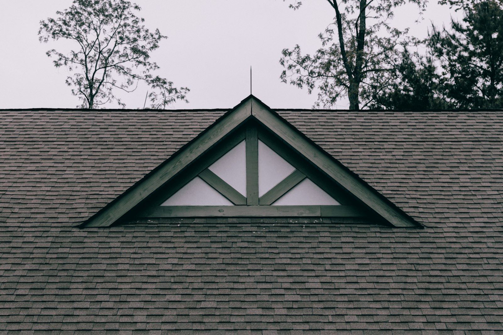 The Complete Roofing Guide for BC Homes and Buildings